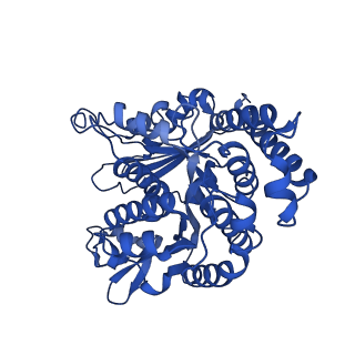 26079_7tr2_B_v1-2
Apo CaKip3[2-436]-L2-mutant(HsKHC) in complex with a microtubule