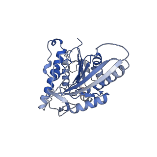 26079_7tr2_K_v1-2
Apo CaKip3[2-436]-L2-mutant(HsKHC) in complex with a microtubule