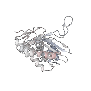 26081_7tr6_C_v1-1
Cascade complex from type I-A CRISPR-Cas system