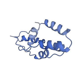 26081_7tr6_G_v1-1
Cascade complex from type I-A CRISPR-Cas system