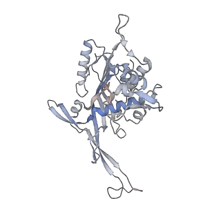 26081_7tr6_I_v1-1
Cascade complex from type I-A CRISPR-Cas system
