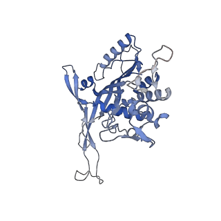 26081_7tr6_J_v1-1
Cascade complex from type I-A CRISPR-Cas system