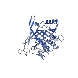 26081_7tr6_K_v1-1
Cascade complex from type I-A CRISPR-Cas system