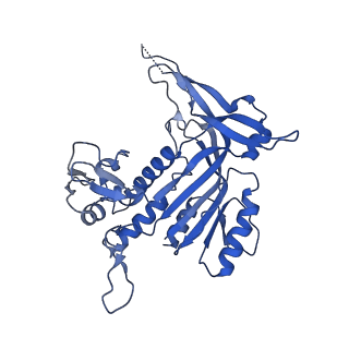 26081_7tr6_N_v1-1
Cascade complex from type I-A CRISPR-Cas system