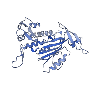 26081_7tr6_O_v1-1
Cascade complex from type I-A CRISPR-Cas system
