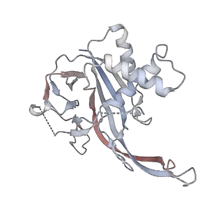 26081_7tr6_P_v1-1
Cascade complex from type I-A CRISPR-Cas system