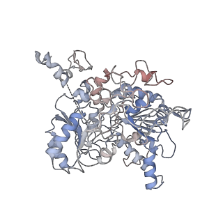 26082_7tr8_A_v1-1
Cascade complex from type I-A CRISPR-Cas system