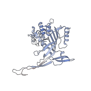 26082_7tr8_I_v1-1
Cascade complex from type I-A CRISPR-Cas system