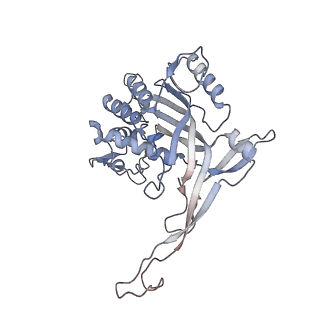 26082_7tr8_J_v1-1
Cascade complex from type I-A CRISPR-Cas system