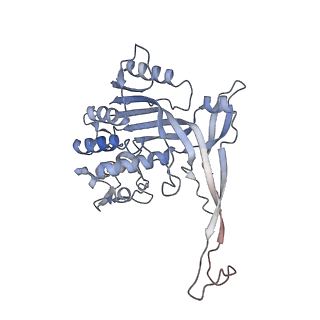 26082_7tr8_K_v1-1
Cascade complex from type I-A CRISPR-Cas system