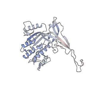 26082_7tr8_L_v1-1
Cascade complex from type I-A CRISPR-Cas system