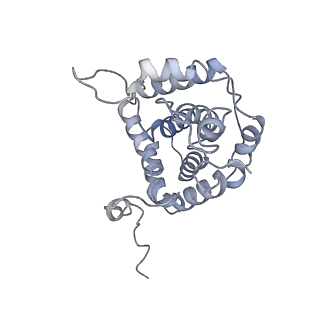 26082_7tr8_Q_v1-1
Cascade complex from type I-A CRISPR-Cas system