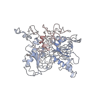 26083_7tr9_A_v1-1
Cascade complex from type I-A CRISPR-Cas system