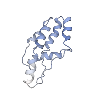 26083_7tr9_D_v1-1
Cascade complex from type I-A CRISPR-Cas system