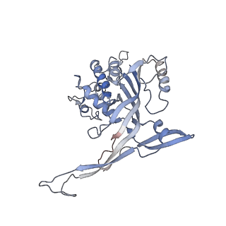 26083_7tr9_I_v1-1
Cascade complex from type I-A CRISPR-Cas system