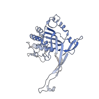 26083_7tr9_J_v1-1
Cascade complex from type I-A CRISPR-Cas system