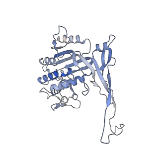 26083_7tr9_K_v1-1
Cascade complex from type I-A CRISPR-Cas system