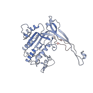 26083_7tr9_L_v1-1
Cascade complex from type I-A CRISPR-Cas system