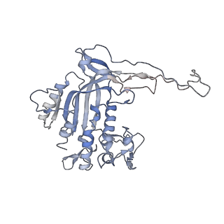 26083_7tr9_M_v1-1
Cascade complex from type I-A CRISPR-Cas system