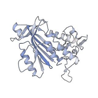 26083_7tr9_O_v1-1
Cascade complex from type I-A CRISPR-Cas system