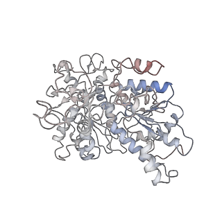 26084_7tra_A_v1-1
Cascade complex from type I-A CRISPR-Cas system