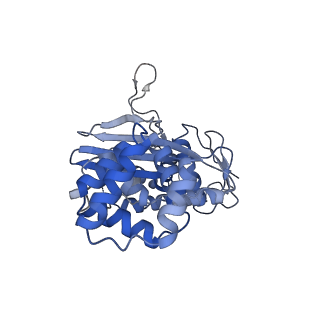 26084_7tra_B_v1-1
Cascade complex from type I-A CRISPR-Cas system