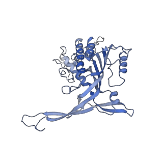 26084_7tra_H_v1-1
Cascade complex from type I-A CRISPR-Cas system