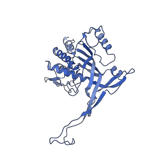 26084_7tra_I_v1-1
Cascade complex from type I-A CRISPR-Cas system
