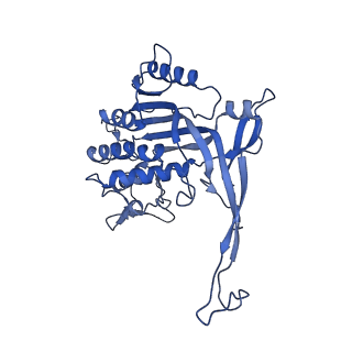 26084_7tra_J_v1-1
Cascade complex from type I-A CRISPR-Cas system