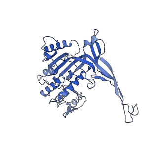 26084_7tra_K_v1-1
Cascade complex from type I-A CRISPR-Cas system