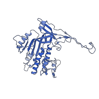 26084_7tra_L_v1-1
Cascade complex from type I-A CRISPR-Cas system