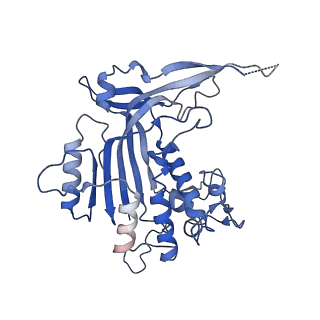 26084_7tra_M_v1-1
Cascade complex from type I-A CRISPR-Cas system