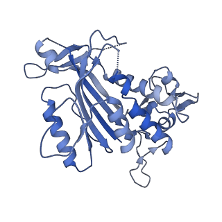 26084_7tra_N_v1-1
Cascade complex from type I-A CRISPR-Cas system