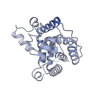 26084_7tra_Q_v1-1
Cascade complex from type I-A CRISPR-Cas system