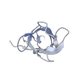 26085_7trc_D_v1-2
Human telomerase H/ACA RNP at 3.3 Angstrom