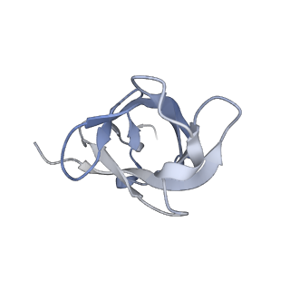 26085_7trc_D_v1-3
Human telomerase H/ACA RNP at 3.3 Angstrom