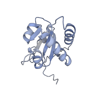 26085_7trc_E_v1-2
Human telomerase H/ACA RNP at 3.3 Angstrom