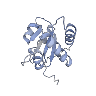 26085_7trc_E_v1-3
Human telomerase H/ACA RNP at 3.3 Angstrom