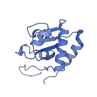 26085_7trc_I_v1-2
Human telomerase H/ACA RNP at 3.3 Angstrom