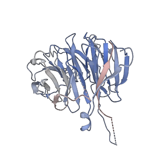 26085_7trc_K_v1-2
Human telomerase H/ACA RNP at 3.3 Angstrom