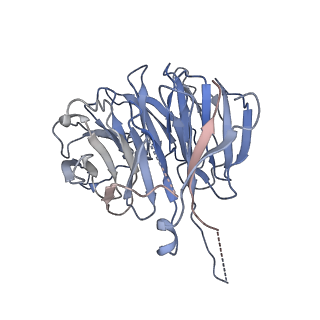 26085_7trc_K_v1-3
Human telomerase H/ACA RNP at 3.3 Angstrom