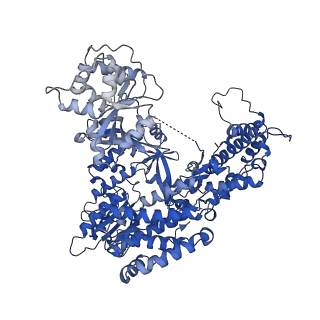 26086_7trd_A_v1-2
Human telomerase catalytic core structure at 3.3 Angstrom