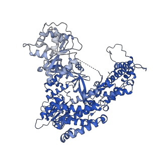 26086_7trd_A_v1-3
Human telomerase catalytic core structure at 3.3 Angstrom