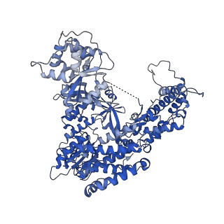 26087_7tre_A_v1-3
Human telomerase catalytic core with shelterin protein TPP1