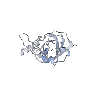 26087_7tre_C_v1-3
Human telomerase catalytic core with shelterin protein TPP1