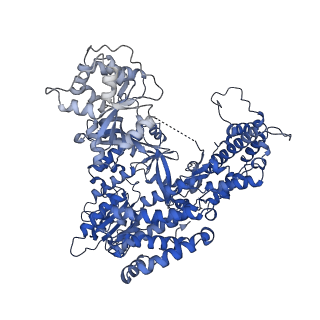 26088_7trf_A_v1-2
Human telomerase catalytic core RNP with H2A/H2B