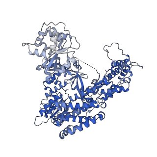 26088_7trf_A_v1-3
Human telomerase catalytic core RNP with H2A/H2B