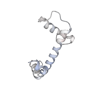 26088_7trf_E_v1-3
Human telomerase catalytic core RNP with H2A/H2B