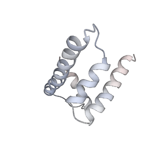 26088_7trf_F_v1-3
Human telomerase catalytic core RNP with H2A/H2B