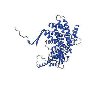 26089_7trg_D_v1-0
The beta-tubulin folding intermediate I
